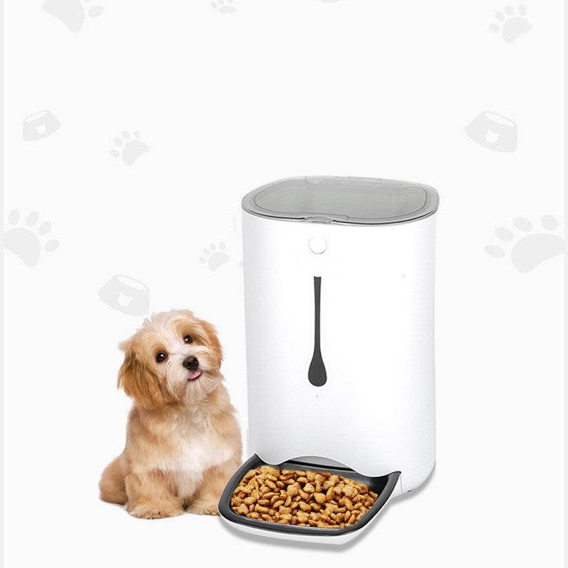 Timed pet video automatic feeder - Mubimart