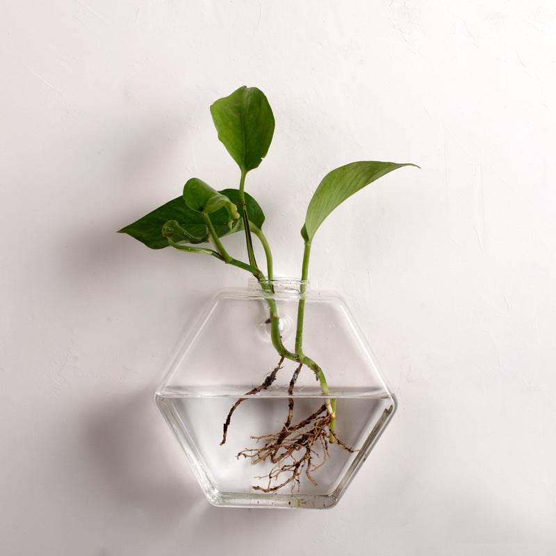 Wall-mounted fish tank - Mubimart