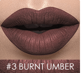 Waterproof Matte Liquid Lipstick with Moisturizing Action Smooth Lip Stick Long-lasting Lip Gloss Cosmetic Make-up - Mubimart