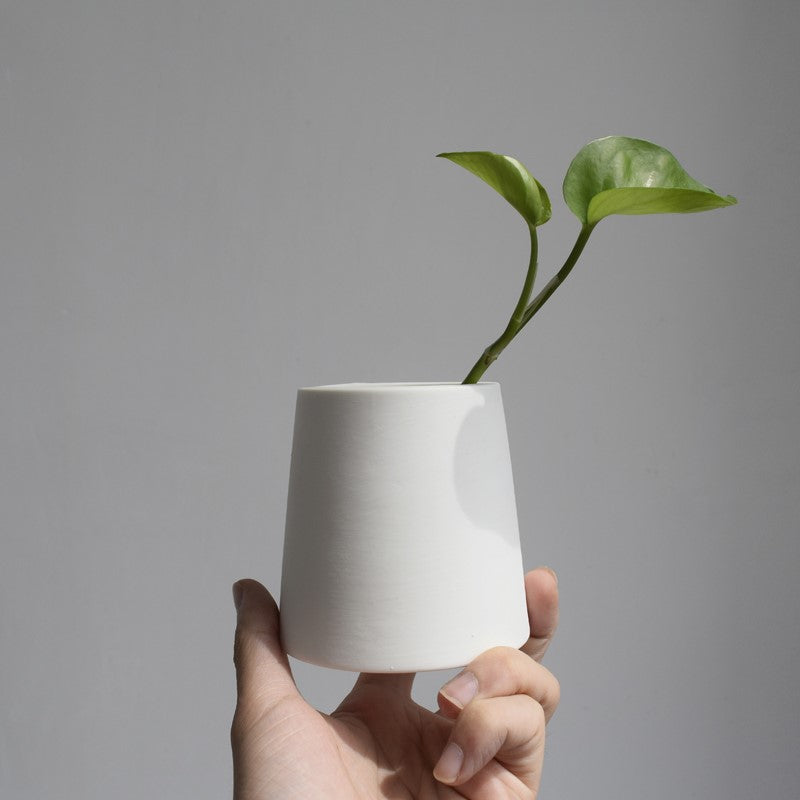 White ceramic green plants - Mubimart -  