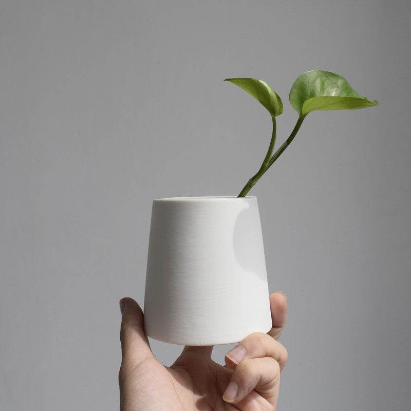 White ceramic green plants - Mubimart
