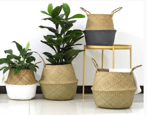 Wicker Foldable Planter Basket - Mubimart