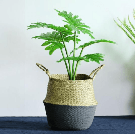 Wicker Foldable Planter Basket - Mubimart