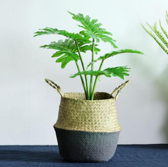 Wicker Foldable Planter Basket - Mubimart -  