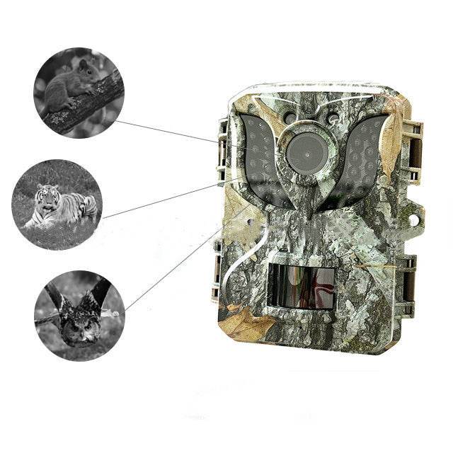 Wildlife Hunt Prevention HD DL005 Camera Security Monitoring Infrared Night Vision - Mubimart