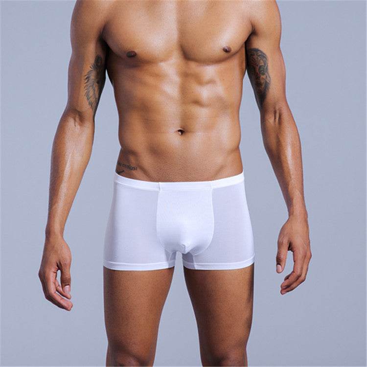 Men's Underwear Nylon Ice Silk Comfort Boxers - Mubimart