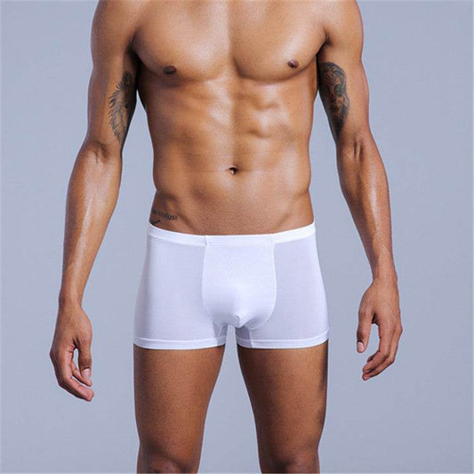 Men's Underwear Nylon Ice Silk Comfort Boxers - Mubimart