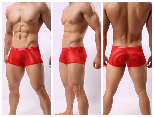 Striped Transparent Boxers For Men - Mubimart