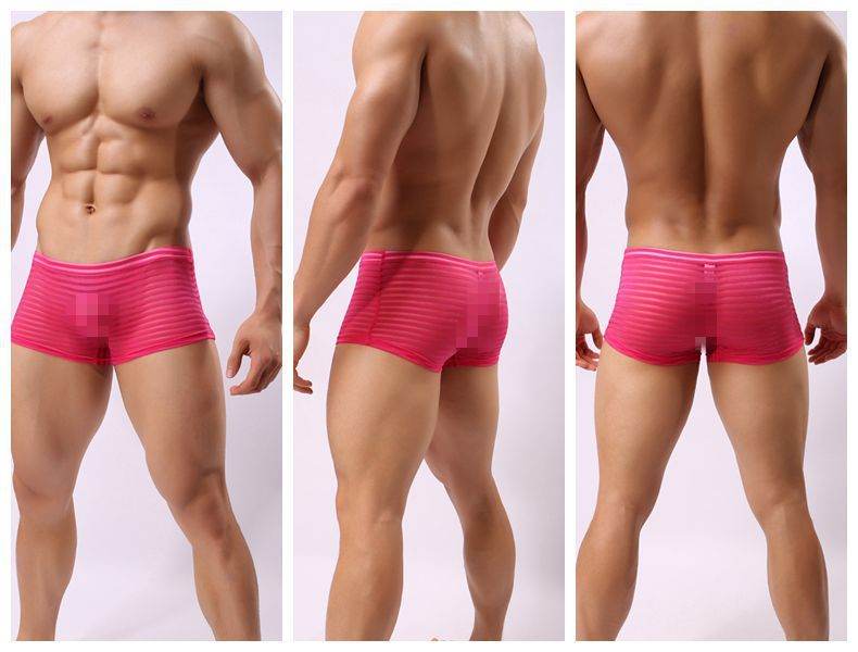 Striped Transparent Boxers For Men - Mubimart