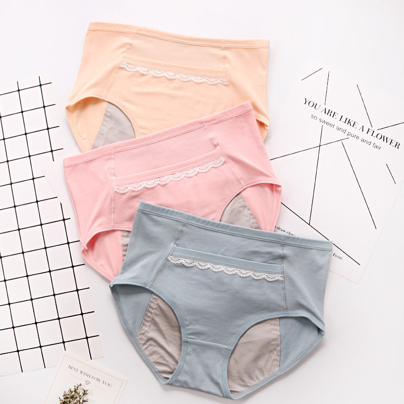 Lady Lace Traceless Briefs Physiological Panties Plus Size Leakproof Belt Pocket Menstrual Panties - Mubimart -  