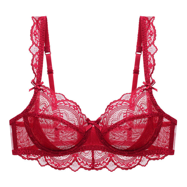 Transparent Lace Bra Ultra-thin Plus Size Bra - Mubimart -  