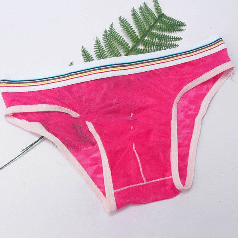 Men's Briefs Mesh Panties - Mubimart