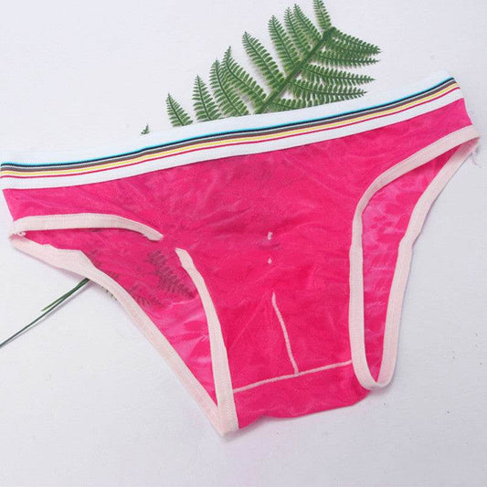 Men's Briefs Mesh Panties - Mubimart