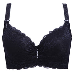 Lace Sexy Plus Size Bra For Women - Mubimart -  