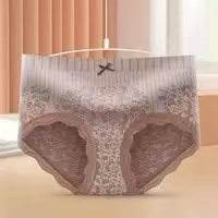 Plus Size Briefs Lace Mid Waist Women Shaping - Mubimart