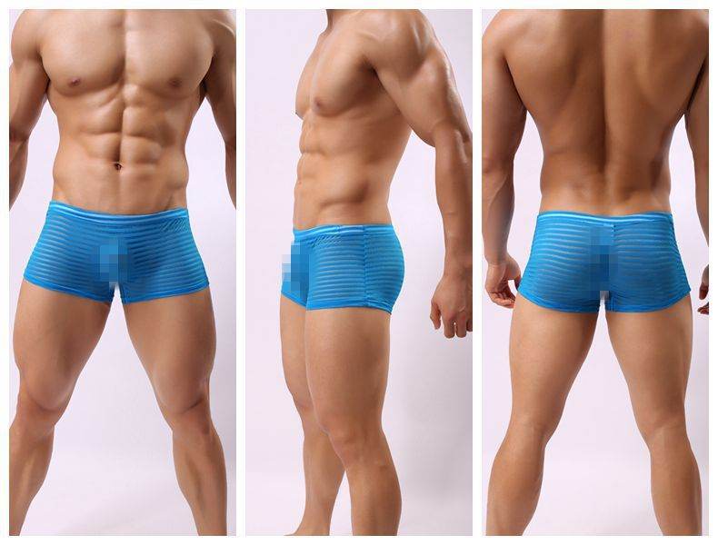 Striped Transparent Boxers For Men - Mubimart