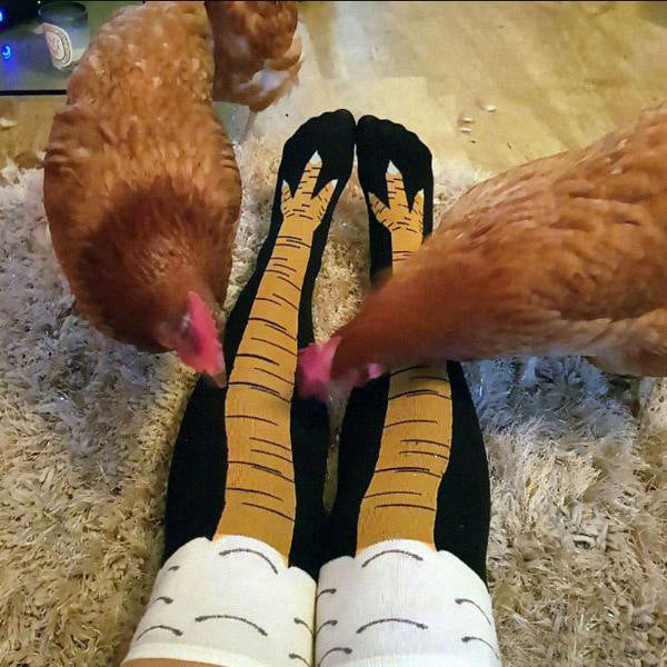 Spring And Autumn Knee Socks Funny Chicken Socks - Mubimart -  