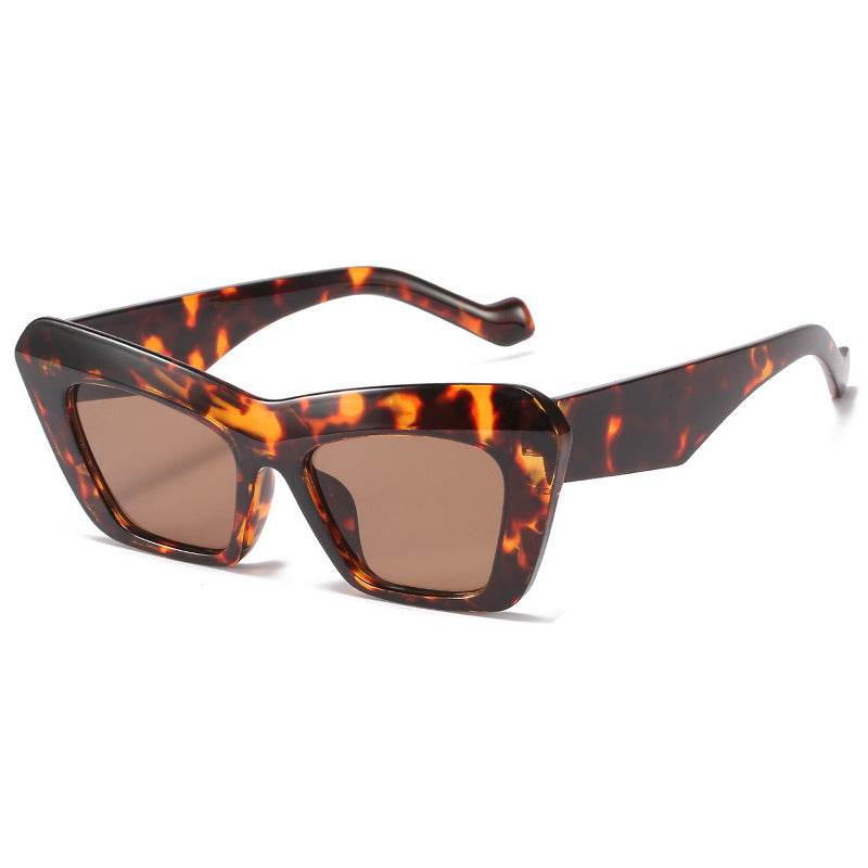 Women's Retro Hip Hop Triangle Cat Eye Sunglasses - Mubimart