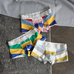 Men's Striped Print Boxer Briefs