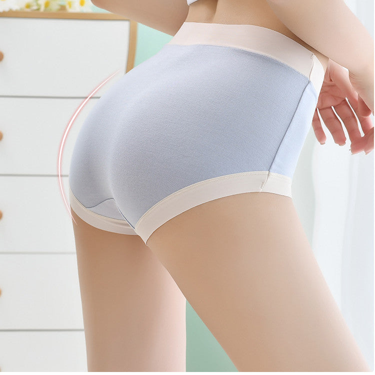 Modal Seamless Mid Waist Plus Size Women's Panties - Mubimart -  