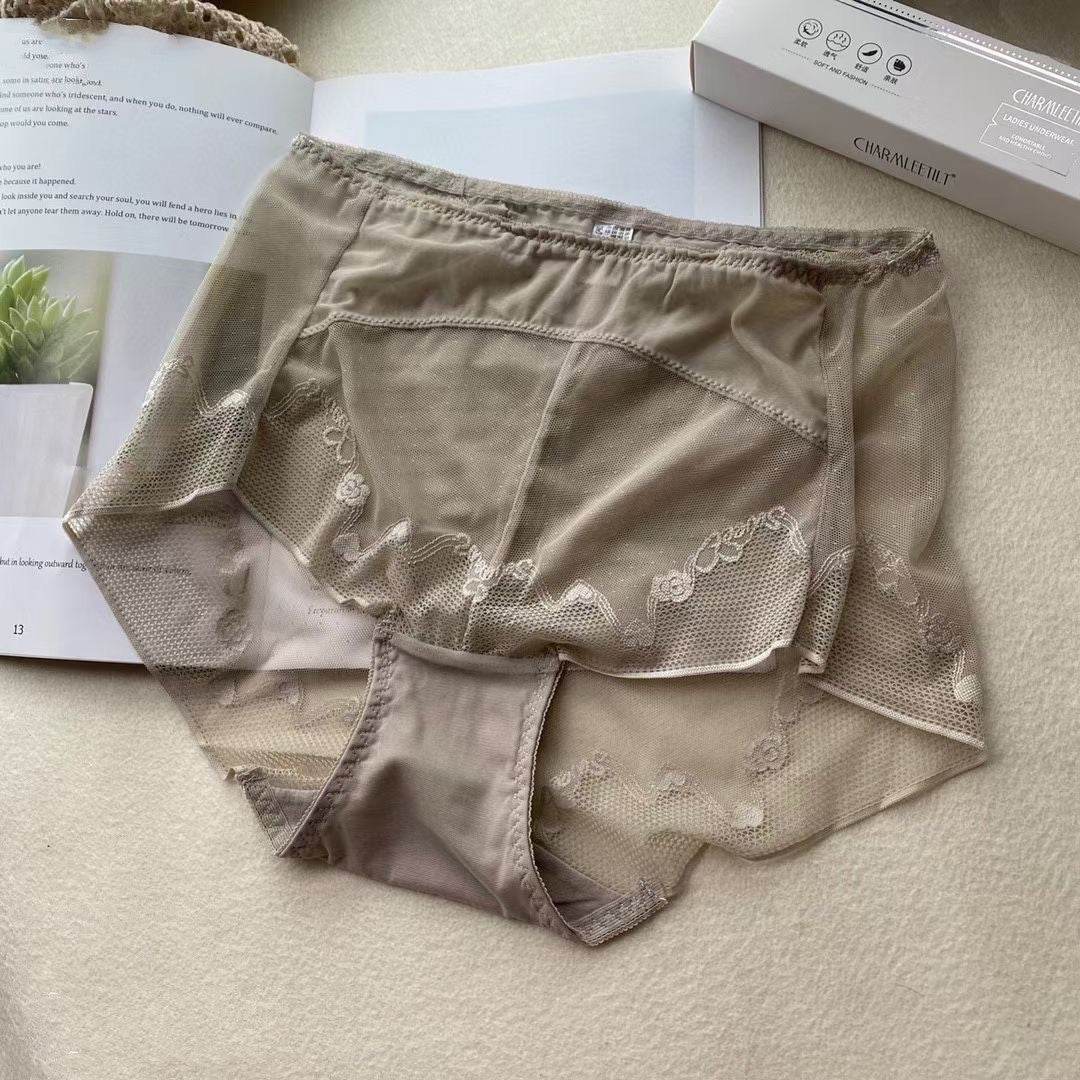 Three Pcs Boxed Women's High Waist Lace Panties - Mubimart