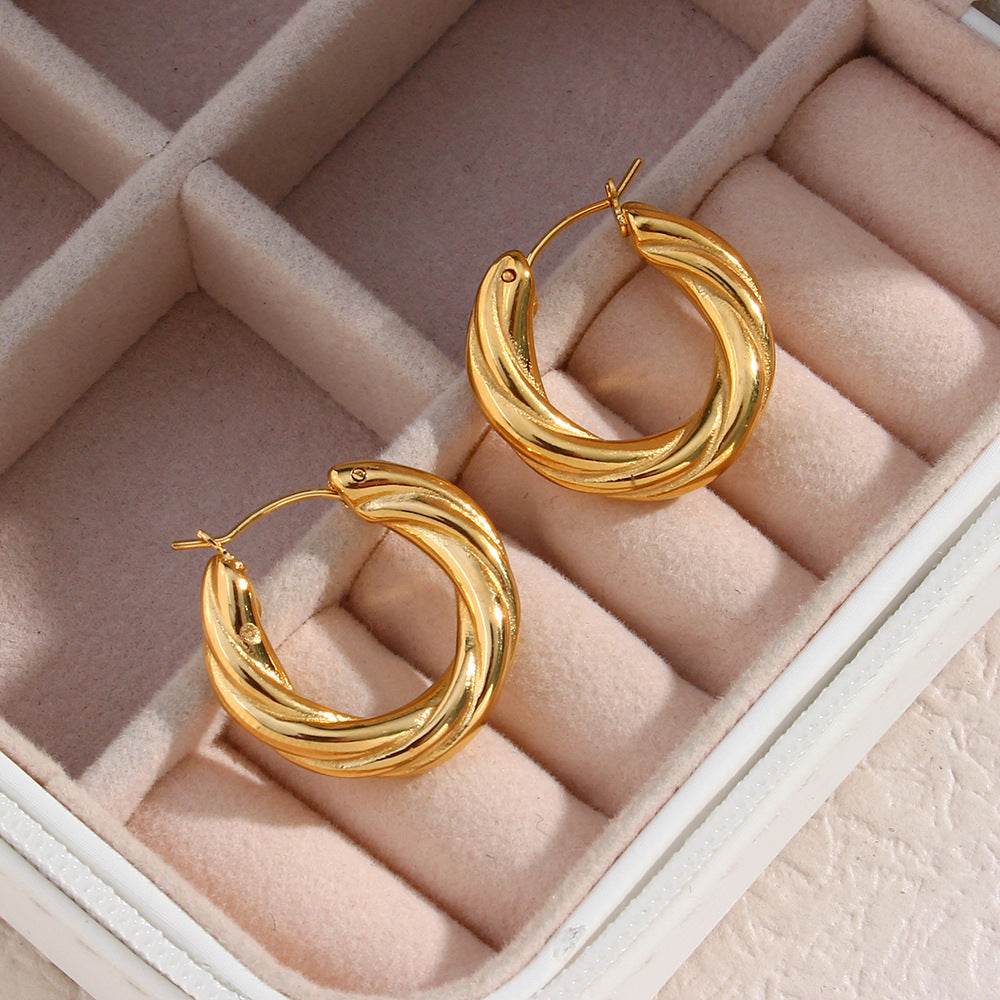 Denisse Twisted Hoop Earrings - Mubimart