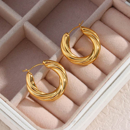 Denisse Twisted Hoop Earrings - Mubimart