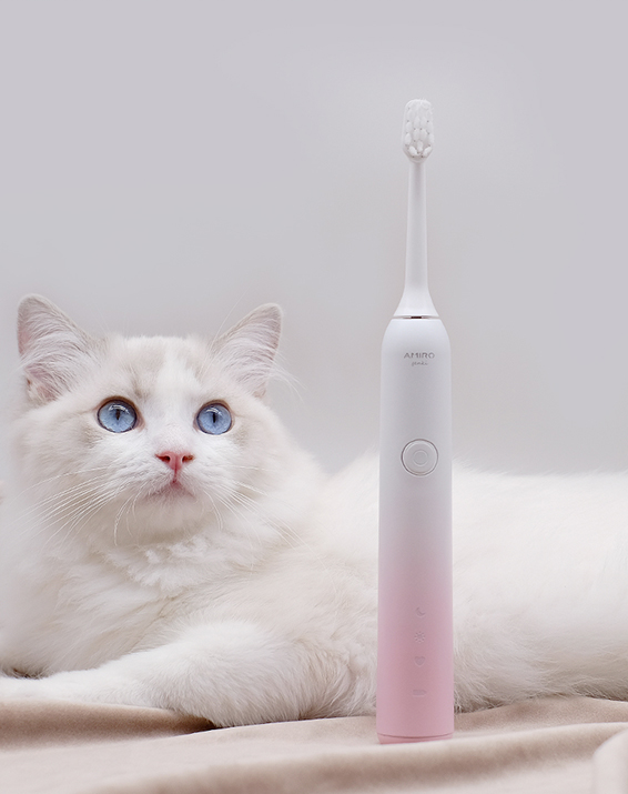 electric toothbrush - Mubimart -  