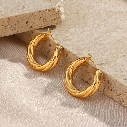 Denisse Twisted Hoop Earrings - Mubimart