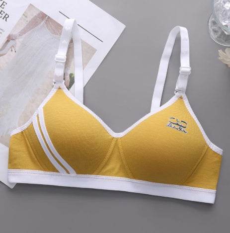 Japanese Style Small Chest Push Up Bra - Mubimart